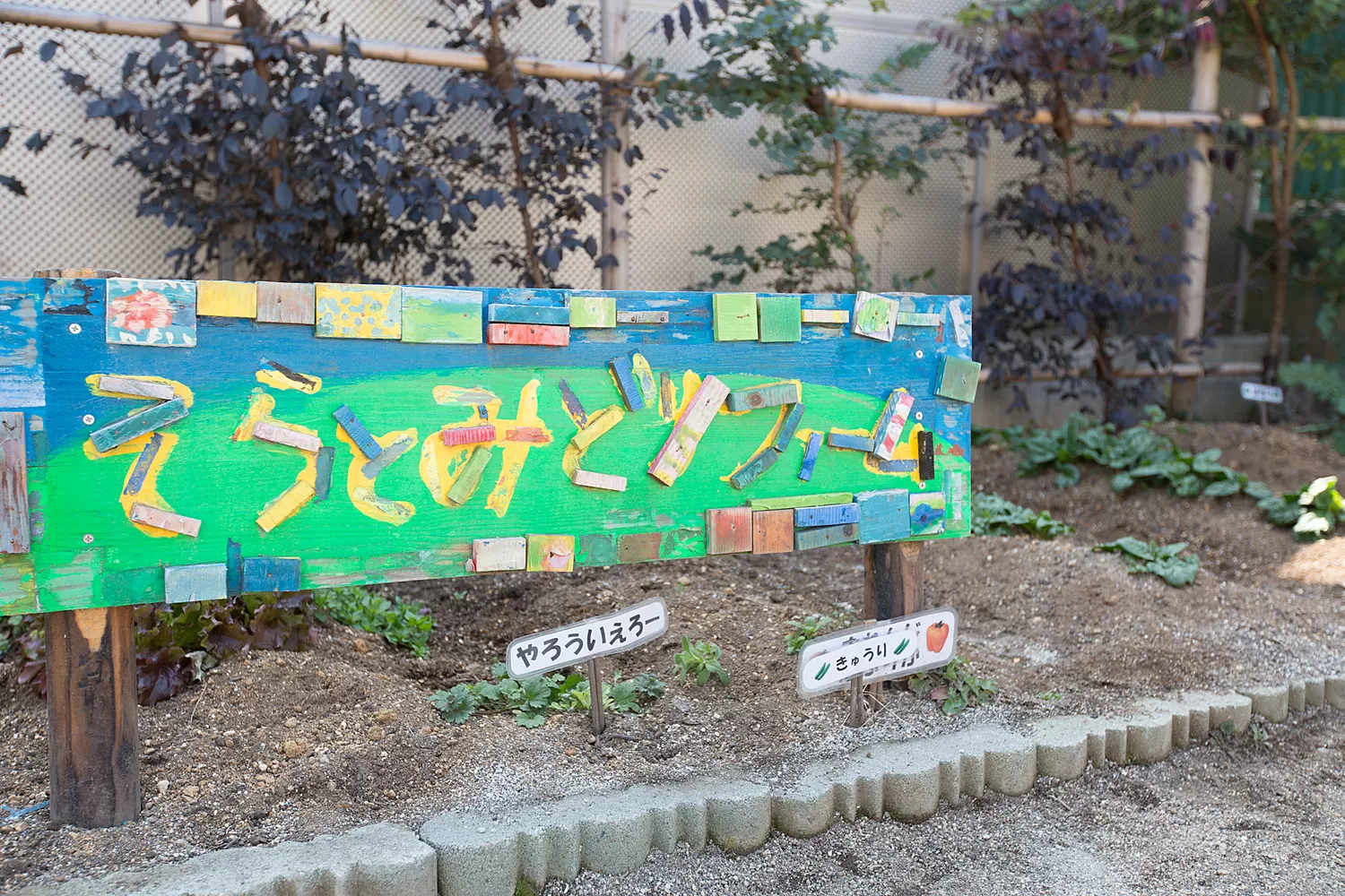 Medium 20170310 024